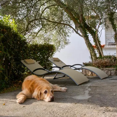 Casa vacanze Olivtree